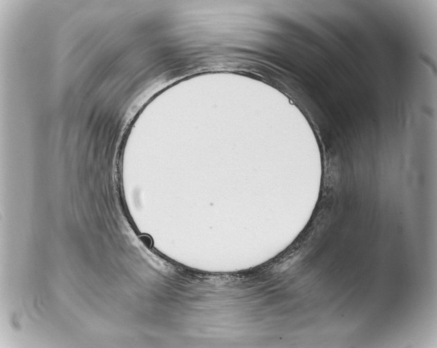 X0000103500803200810101045