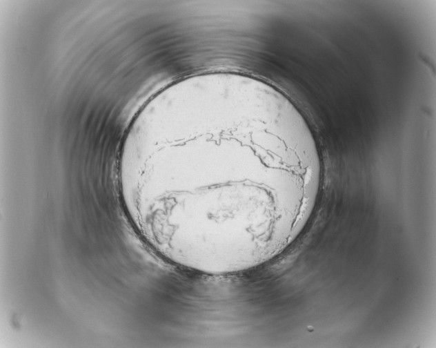 X0000103500806200810101045