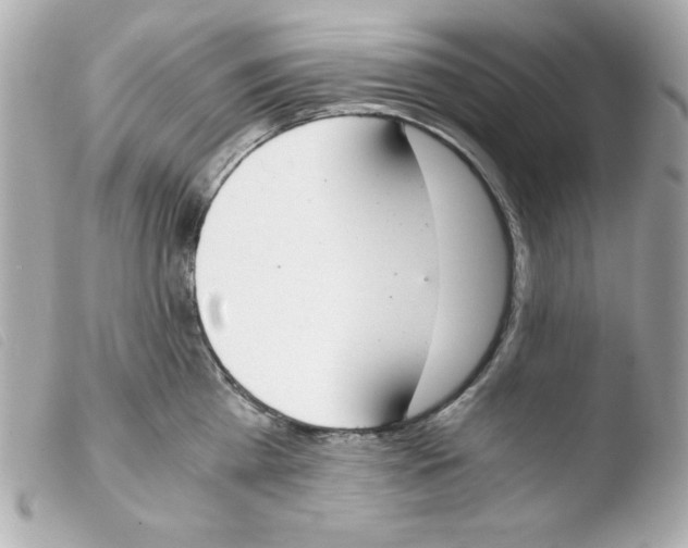 X0000103500809200810101045