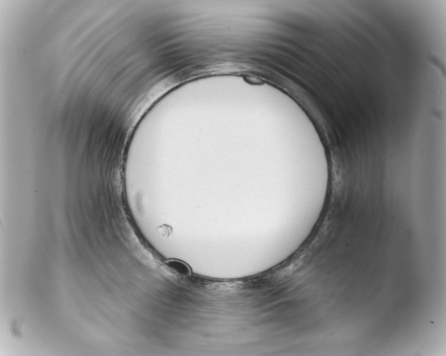 X0000103500810200810101045