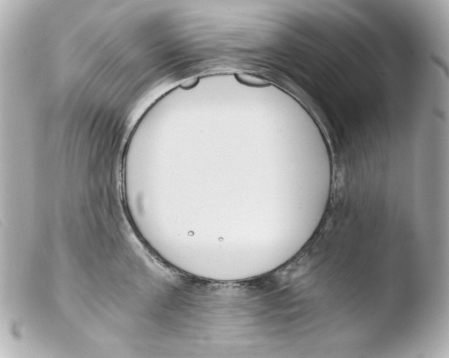 X0000103500811200810101045