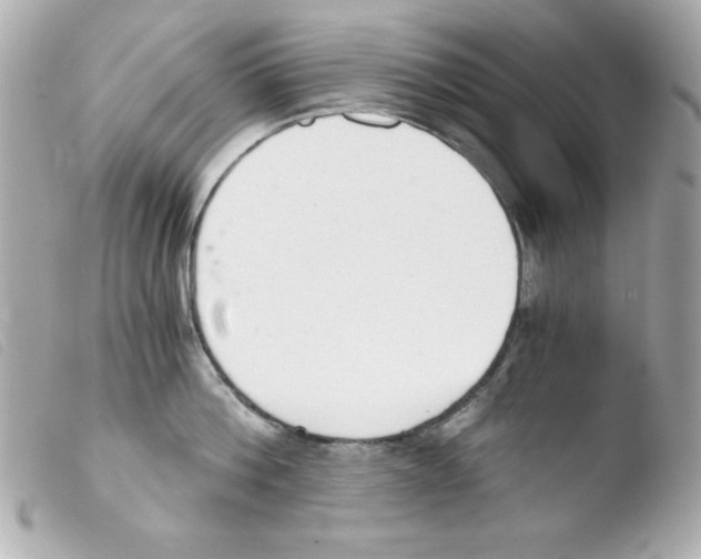 X0000103500812200810101045