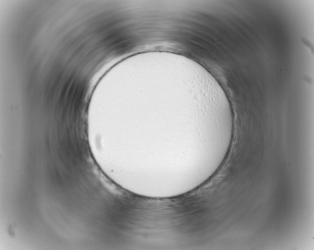 X0000103500816200810101045