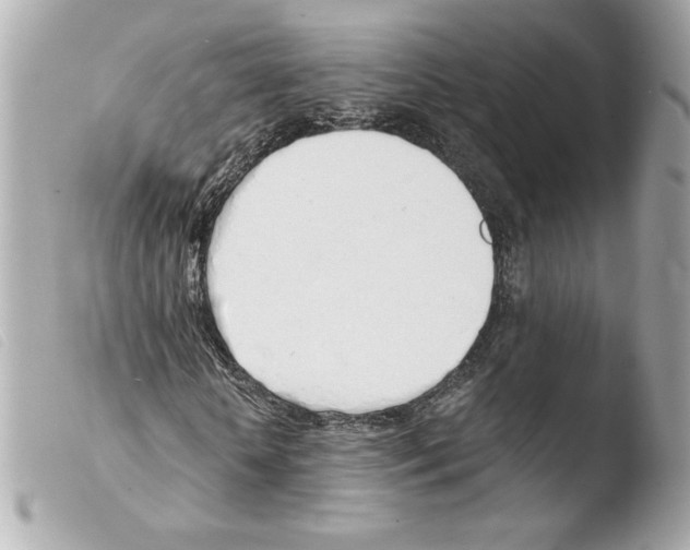 X0000103500818200810101044