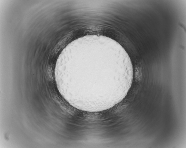 X0000103500819200810101044