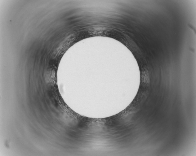 X0000103500820200810101044