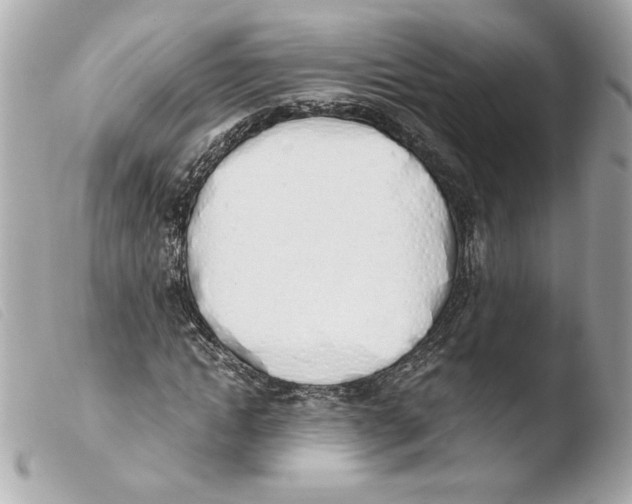 X0000103500822200810101044