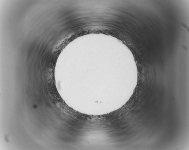 X0000103500824200810101044