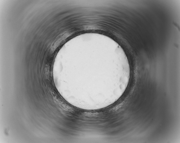 X0000103500825200810101044