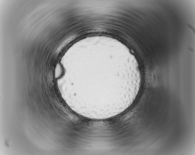 X0000103500826200810101044