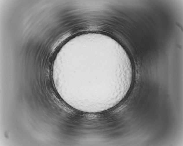 X0000103500827200810101044