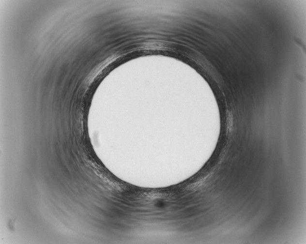 X0000103500829200810101044