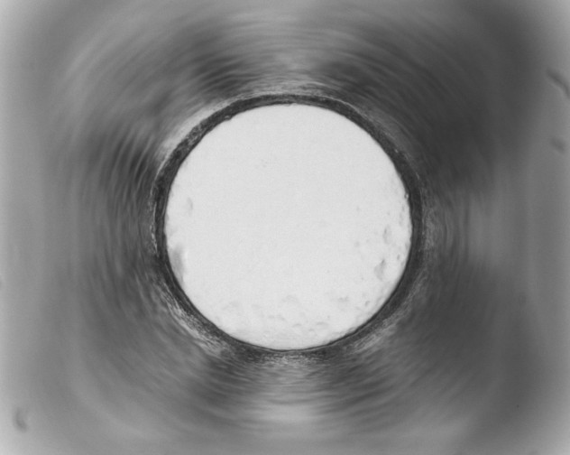 X0000103500830200810101044