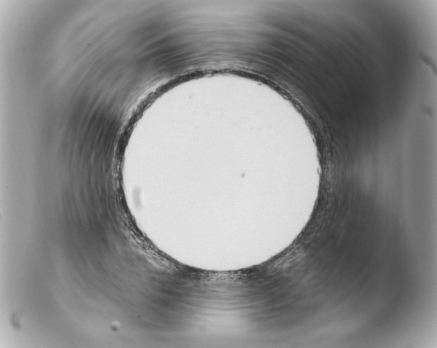 X0000103500832200810101044