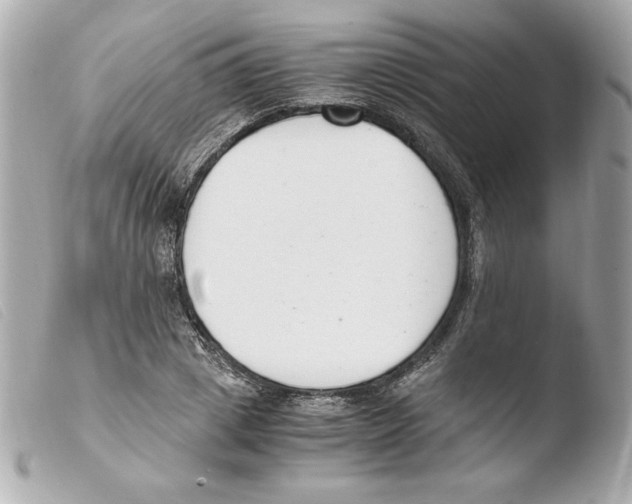 X0000103500833200810101044