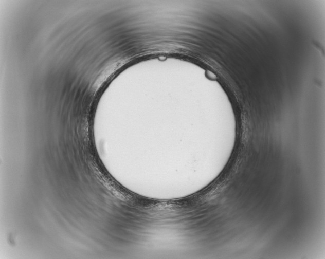 X0000103500834200810101044