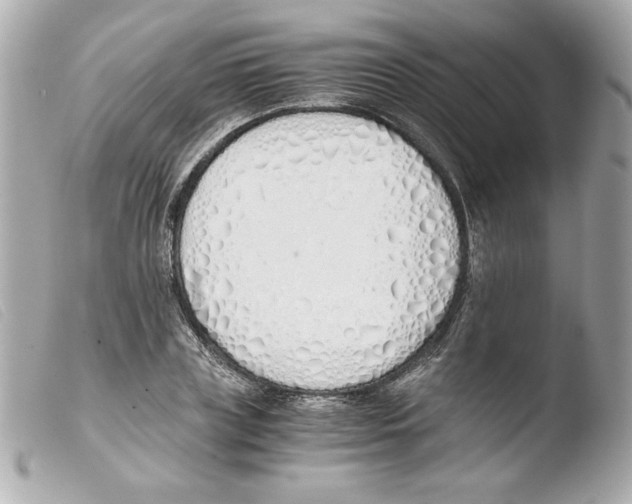 X0000103500835200810101044