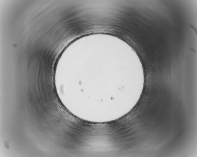 X0000103500836200810101044