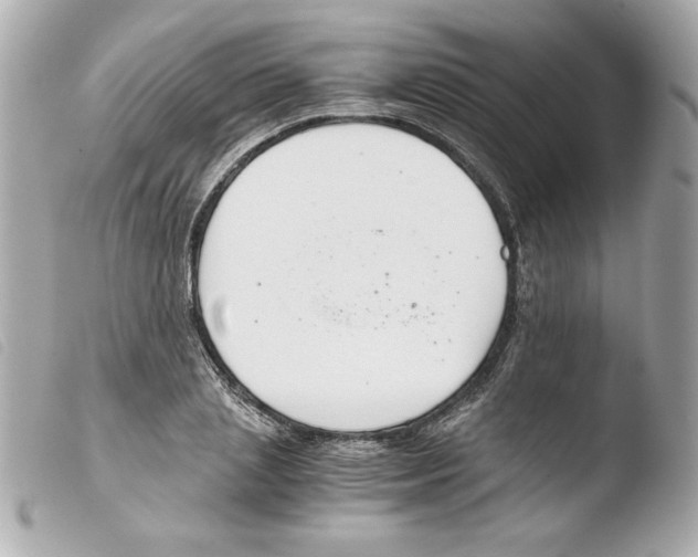 X0000103500837200810101044