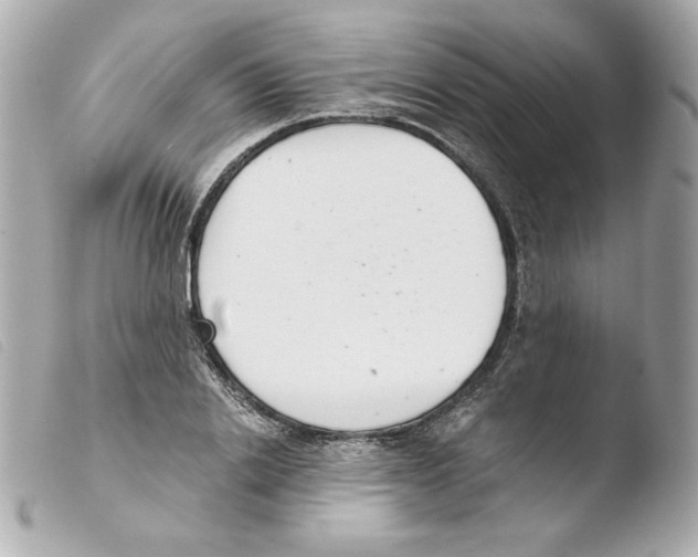 X0000103500838200810101044