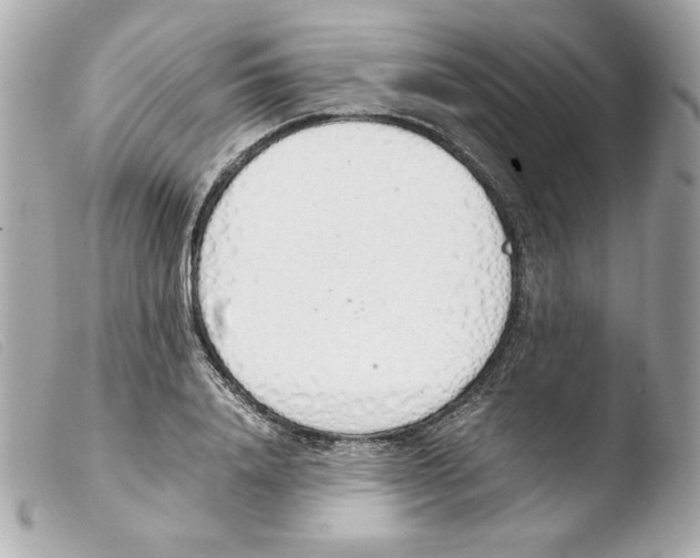 X0000103500840200810101044