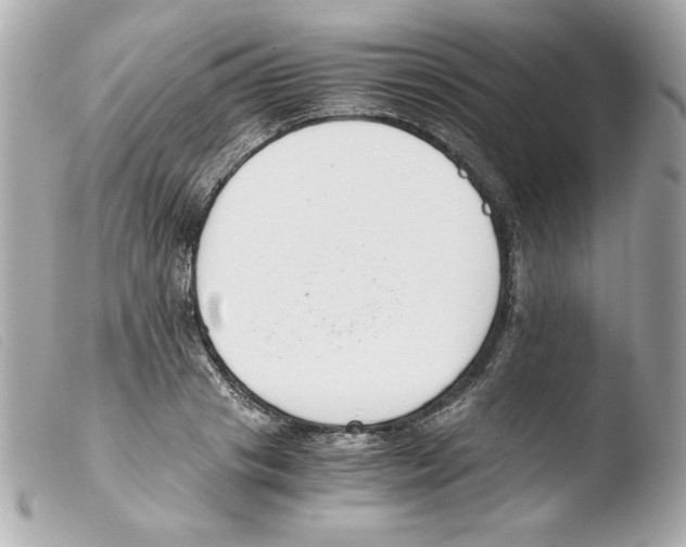 X0000103500841200810101044