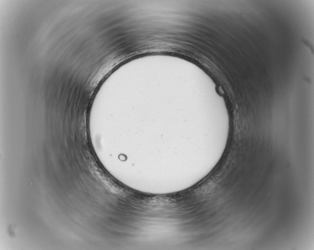 X0000103500842200810101044