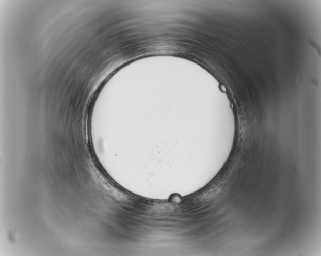 X0000103500843200810101044