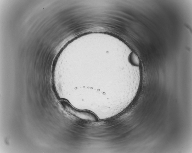 X0000103500845200810101044