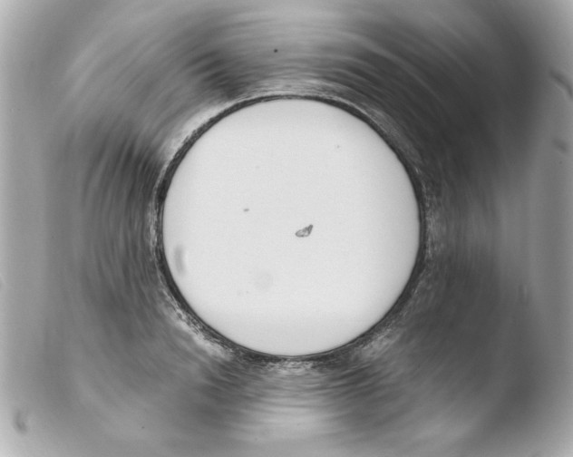 X0000103500846200810101044