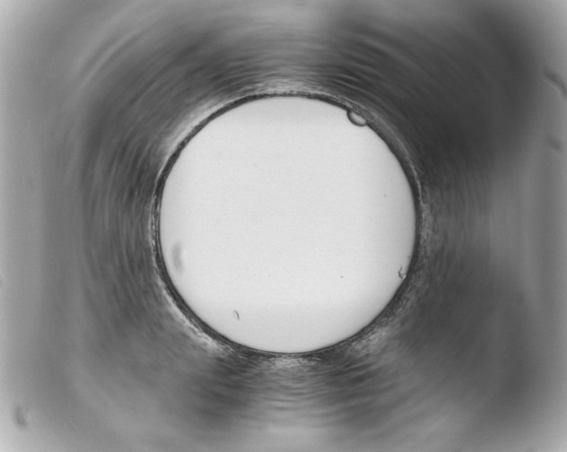 X0000103500847200810101044