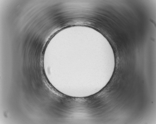 X0000103500848200810101044