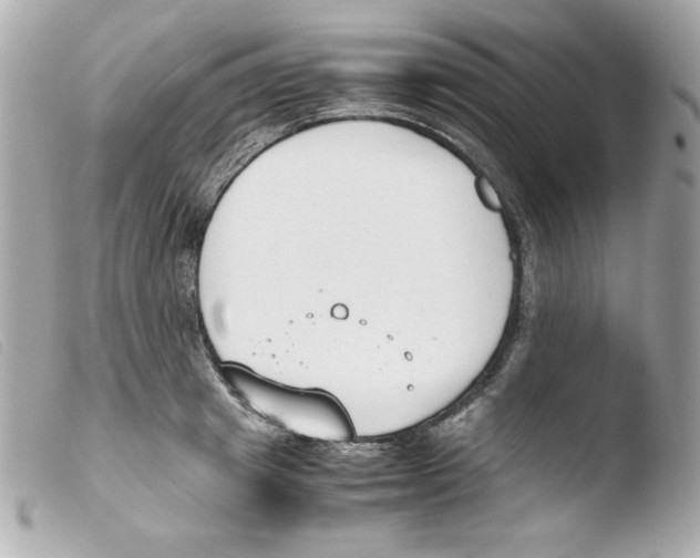 X0000103500849200810101044