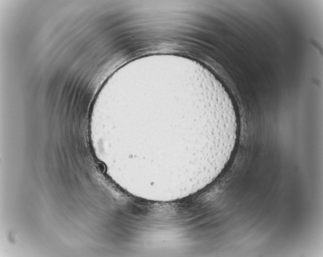 X0000103500850200810101044