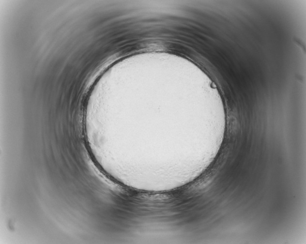 X0000103500851200810101044