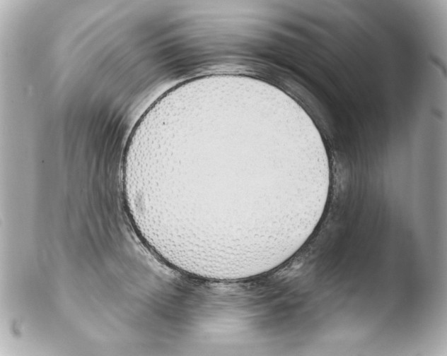 X0000103500852200810101044