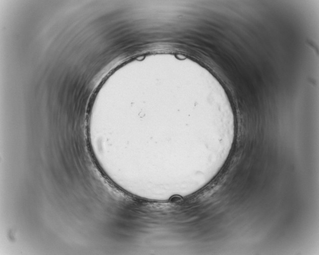 X0000103500853200810101044