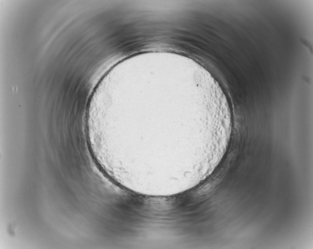 X0000103500855200810101045