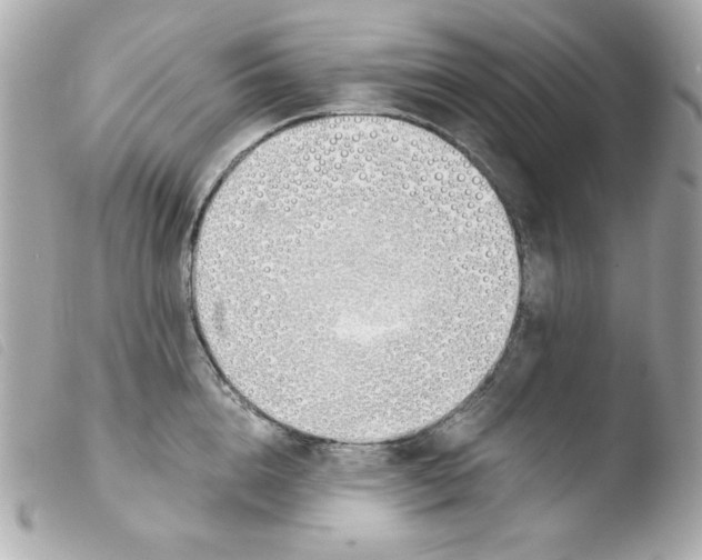 X0000103500856200810101045