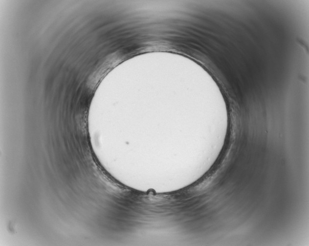 X0000103500857200810101045