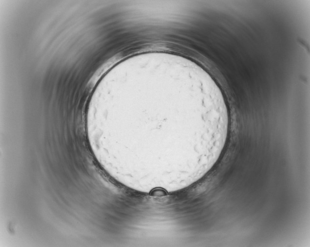 X0000103500858200810101045