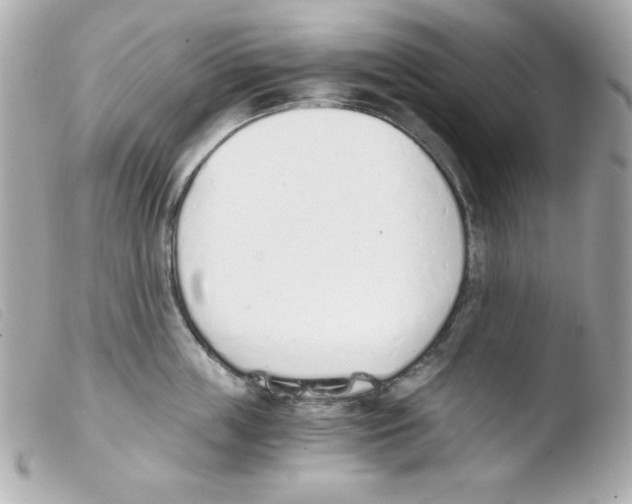 X0000103500859200810101045