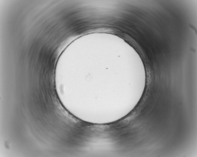 X0000103500860200810101045