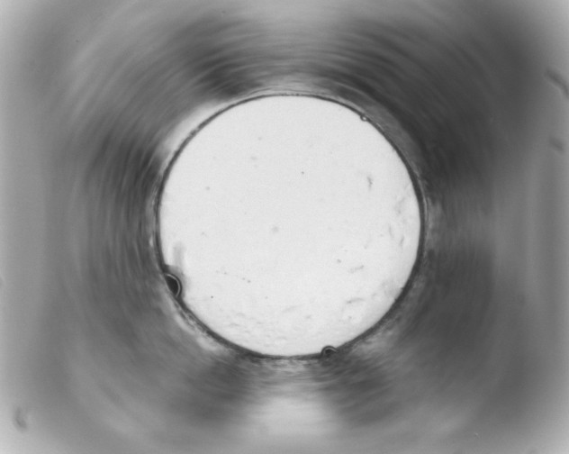 X0000103500862200810101045