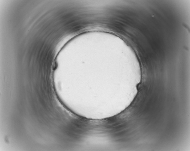 X0000103500863200810101045