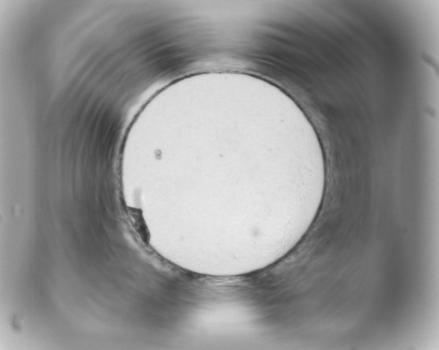 X0000103500864200810101045