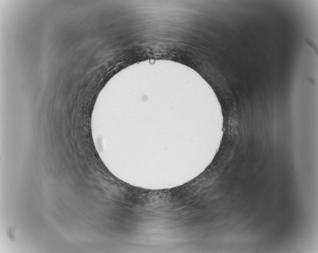 X0000103500865200810101044