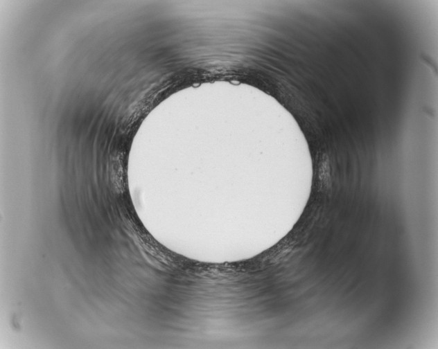 X0000103500868200810101044