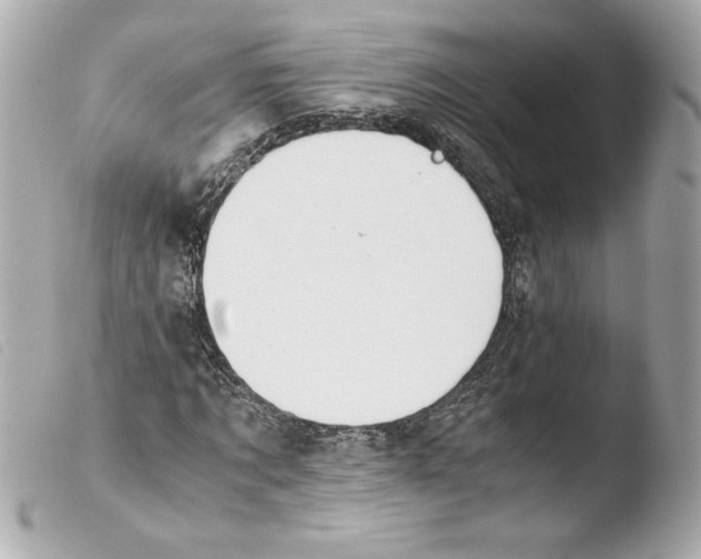 X0000103500869200810101044