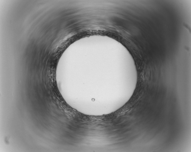 X0000103500870200810101044